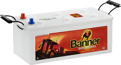 BannerBuffalo Bull Shd SHD68032SHD68032       