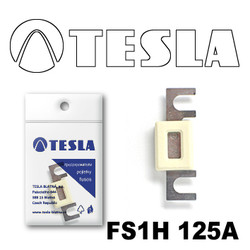 Tesla     125 |  FS1H125A