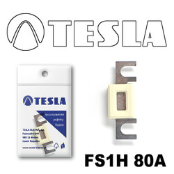  Tesla     80 |  FS1H80A