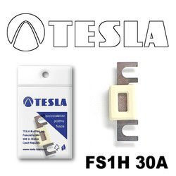  Tesla     30 |  FS1H30A
