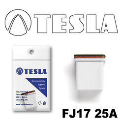  Tesla    FJ17 25