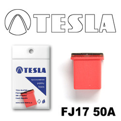  Tesla    FJ17 50
