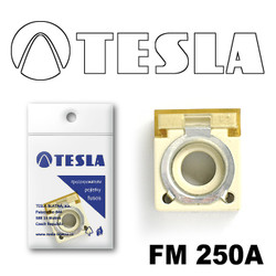  Tesla   FM  250A